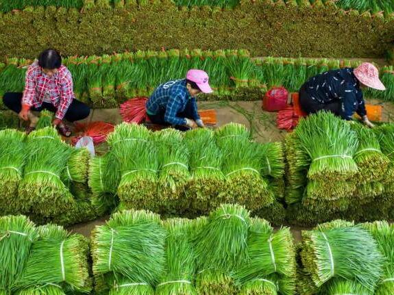 食安社区优质农产品奖鼓励预制菜创新发展